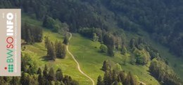 Holzenergie-Forum Olten – Vernetzung & Wissensvermittlung