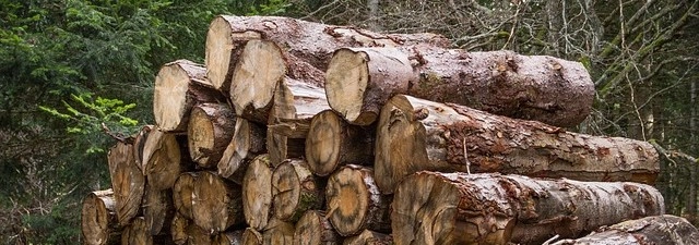 Der Preisindex Schnitzel steigt um 3%