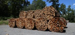 Holzenergie: Wichtig für eine sichere Energieversorgung