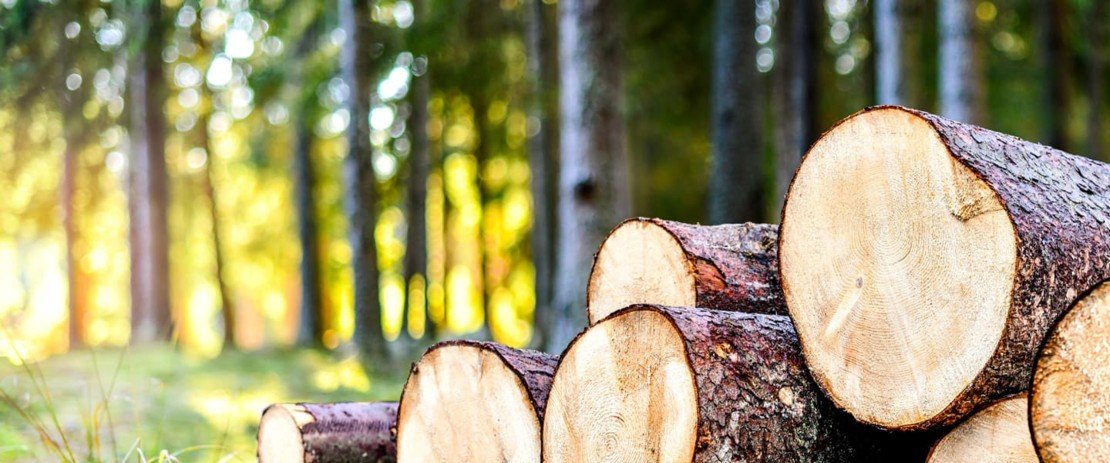 Warum Holzenergie?