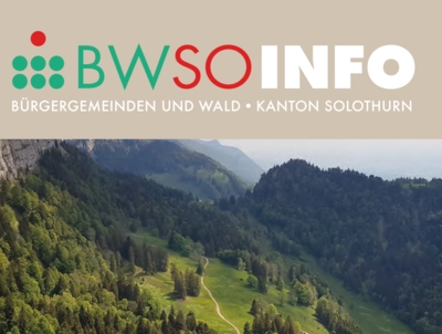 Mehr Schweizer Holz nutzen  - und gleichzeitig die Böden reg...