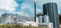 Stolz auf Energie aus Holz