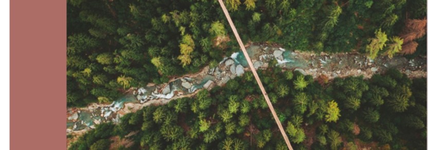 Jahrbuch Wald und Holz 2022
