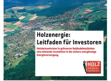 Holzenergie: Leitfaden für Investoren