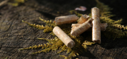 Pellets – regionale Alternative zu Heizöl und Gas