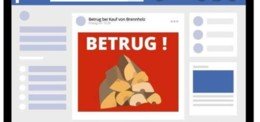 BETRUG: Wallis – Polizei warnt vor falschen Online-Angeboten für Brennholz 