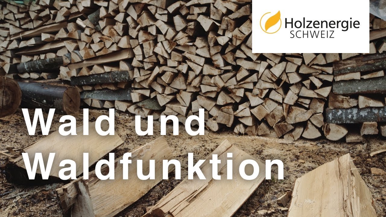 Wald und Waldfunktion