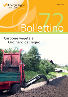 Carbone vegetale Oro nero dal legno