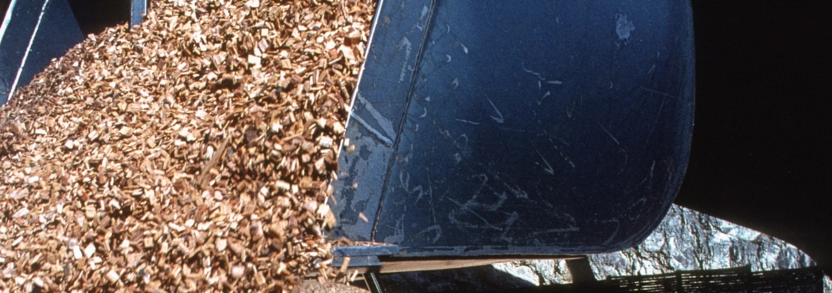 Der Preisindex Schnitzel steigt leicht an