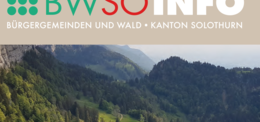 Mehr Schweizer Holz nutzen  - und gleichzeitig die Böden regenerieren