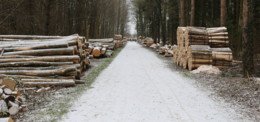 Risquons-nous un manque de bois-énergie?