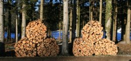 Stückholzproduzenten wollen enger zusammenarbeiten