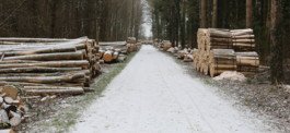 Risquons-nous un manque de bois-énergie?