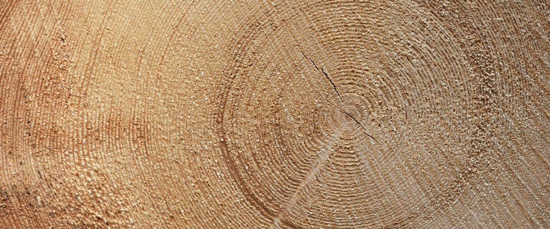 Holzenergie stellt sich vor