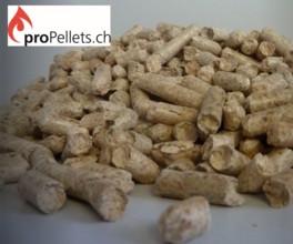 Weiterbildung PelletsExperte für Fachleute der Haustechnikbranche