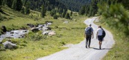 Schweizer Berghilfe fördert Holzenergieprojekte