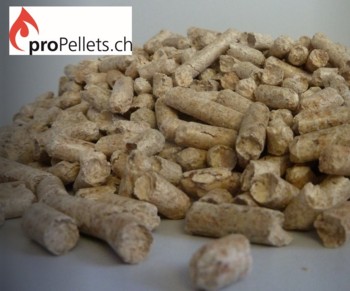 Weiterbildung PelletsExperte für Fachleute der Haustechnikbranche